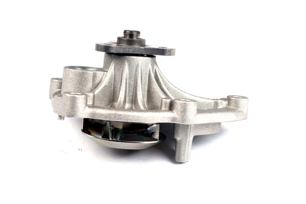 Water Pump - P810 HEPU